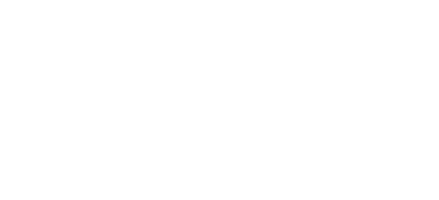 White Butterfly Logo